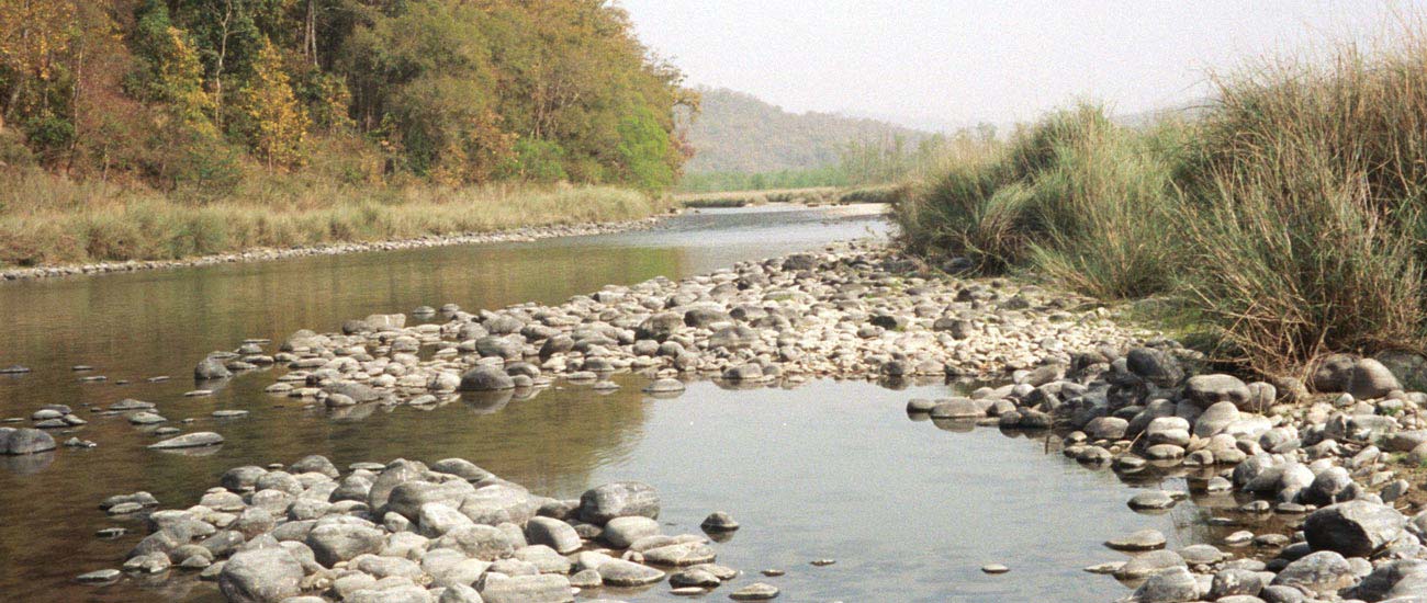 Corbett Rivers